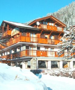 Chalet Hotel Alpina