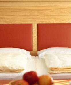 Hotel Österreichischer Hof 1