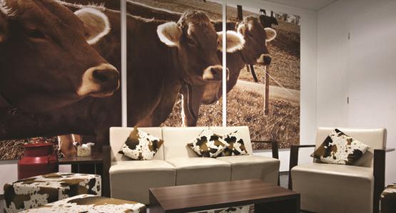 Hotel Alpine Lodge Trübsee 2