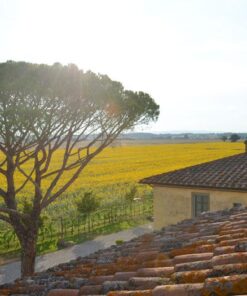 Le Terre dei Cavalieri Appartementen