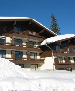 Almdorf Homes Königsleiten