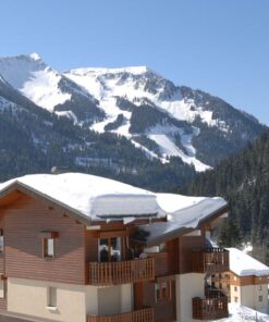 Résidences Petit Châtel