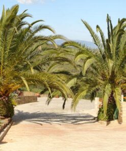 Monte da Bravura Appartement