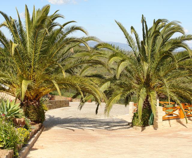 Monte da Bravura Appartement