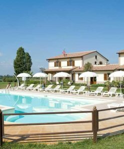 Le Rondini di Francesco di Assisi