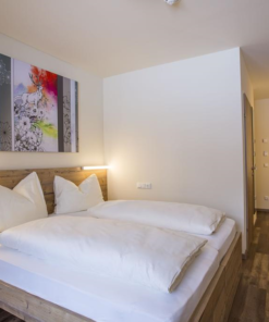 COOEE Alpin Hotel Dachstein 1