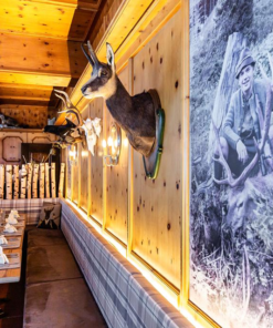 Hotel Der Gollinger 1