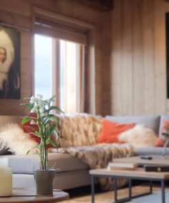 Chalet Odalys Le Lys 1