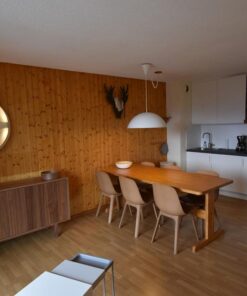 Residence la Cochette 1