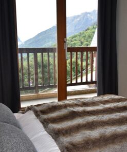 Residence la Cochette 2