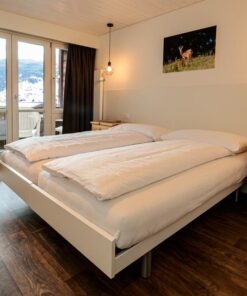 Hotel Jungfrau Lodge 1