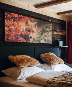 Alpen Lodge Berwang (halfpension) - Adults only 1