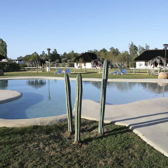 Ardea Purpurea Lodge 2