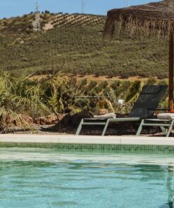 B&B Finca Viva La Vida