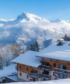 Résidence les Chalets des pistes