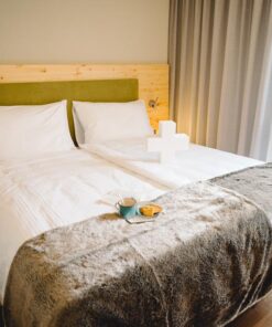 Residence Swisspeak Resorts Meiringen 2