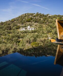 Five Olive Dream Trip