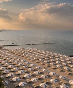 Spina Family Collection 2