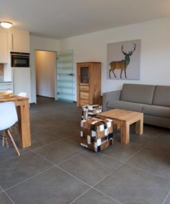 Ski & Golf Suites Zell am See 2