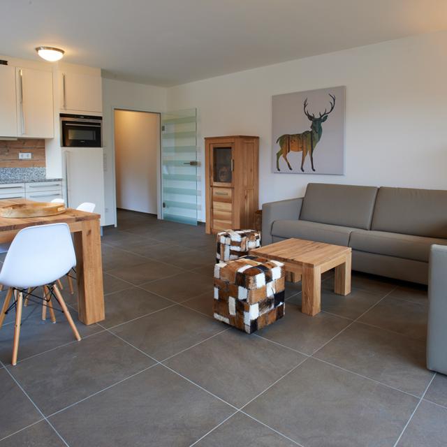 Ski & Golf Suites Zell am See 2