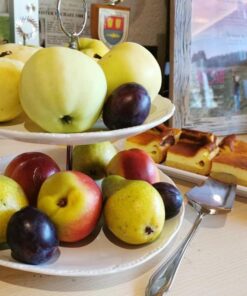 Oberauer Wagrain - Die Eco Familien Hotelpension 2