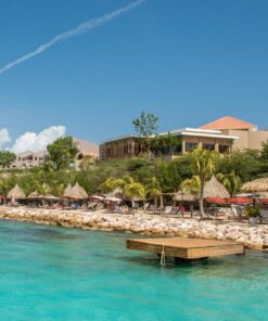 Coral Estate Luxury Resort 2