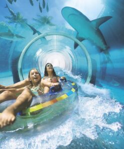 Atlantis The Palm 1