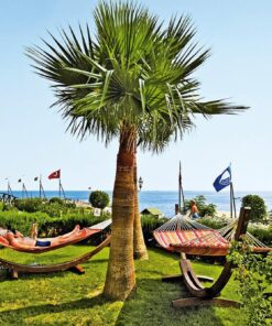 Fame Residence Kemer & Spa 1