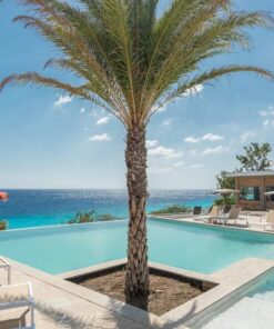 Coral Estate Luxury Resort 1